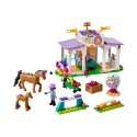 ADORE LEGO LGF41746 HORSE TRAİNİNG