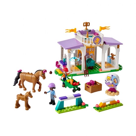 ADORE LEGO LGF41746 HORSE TRAİNİNG