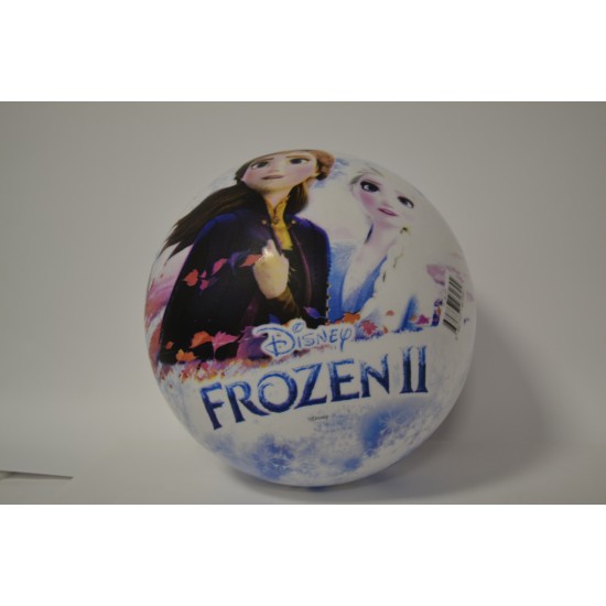 ASYA TP-46490 LİSANS BASKILI 23CM 4 ASS.TOP