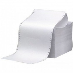 UMUR SÜREKLİ FORM 11X24 60GR 2NS 1000Lİ RENKLİ